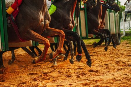 VGCCC targets compliance in western Victoria